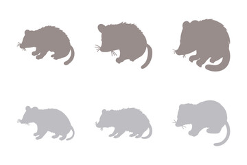 Opossum Silhouette Icon Set. Animal Illustration Design