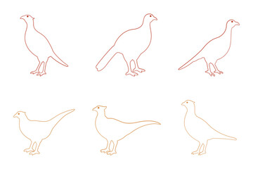 Pheasant Bird Outline Icon Set. Animal Illustration Design