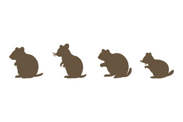 Quokka Silhouette Icon Set. Animal Illustration Design