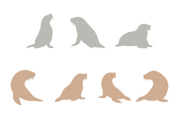 Sea Lion Silhouette Icon Set. Animal Illustration Design