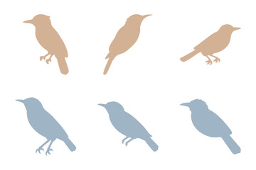 Shrike Bird Silhouette Icon Set. Animal Illustration Design