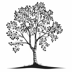 Obraz premium Black and White Tree Silhouette. Botanical Nature Illustration in Eco-Friendly Woodland Art - Capturing Seasonal Changes and Organic Growth
