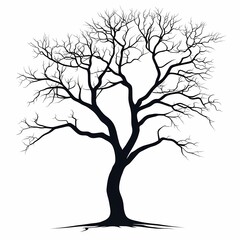 Obraz premium Leafless Tree Silhouette Illustration. Barren Nature Art in Black Vector Design