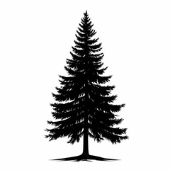 Iconic Conifer Silhouette. Evergreen Tree in Dense Forest - Nature, Outdoors & Scenic Beauty