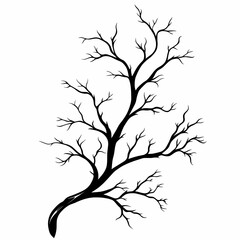 Obraz premium Elegant Silhouette Art of Tangled Bare Tree Branches Nature Illustration and Botanical Aesthetic