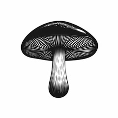 Monochrome Mushroom Illustration. Detailed Botanical Fungus Art Celebrating Nature's Rustic Beauty