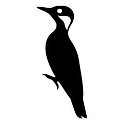 woodpecker animal black silhouette icon - designs for jungle animals woodpecker Safaris, wildlife, rainforest, vector on a white transparent.