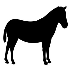 zebra animal black silhouette icon - designs for jungle animals zebra Safaris, wildlife, rainforest, vector on a white transparent.