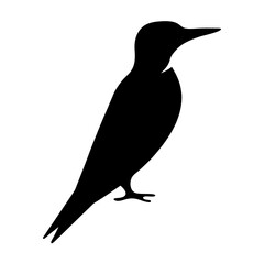 woodpecker animal black silhouette icon - designs for jungle animals woodpecker Safaris, wildlife, rainforest, vector on a white transparent.