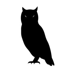 owl animal black silhouette icon - designs for jungle animals owl Safaris, wildlife, rainforest, vector on a white transparent.