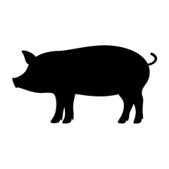 pig animal black silhouette icon - designs for jungle animals pig Safaris, wildlife, rainforest, vector on a white transparent.