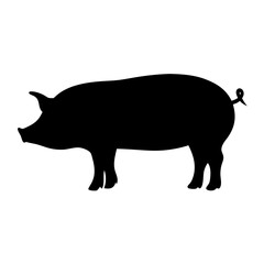 pig animal black silhouette icon - designs for jungle animals pig Safaris, wildlife, rainforest, vector on a white transparent.