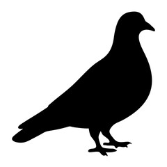 pigeon animal black silhouette icon - designs for jungle animals pigeon Safaris, wildlife, rainforest, vector on a white transparent.