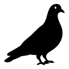 pigeon animal black silhouette icon - designs for jungle animals pigeon Safaris, wildlife, rainforest, vector on a white transparent.