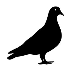 pigeon animal black silhouette icon - designs for jungle animals pigeon Safaris, wildlife, rainforest, vector on a white transparent.