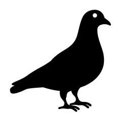 pigeon animal black silhouette icon - designs for jungle animals pigeon Safaris, wildlife, rainforest, vector on a white transparent.