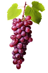 Fototapeta premium Ruby Roman Grapes on transparent background