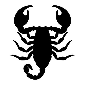 recommend clip art: scorpion animal black silhouette icon - designs for jungle animals scorpion Safaris, wildlife, rainforest, vector on a white transparent.