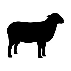 sheep animal black silhouette icon - designs for jungle animals sheep Safaris, wildlife, rainforest, vector on a white transparent.