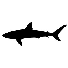 shark animal black silhouette icon - designs for jungle animals shark Safaris, wildlife, rainforest, vector on a white transparent.
