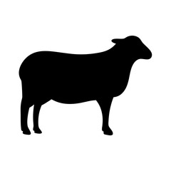 sheep animal black silhouette icon - designs for jungle animals sheep Safaris, wildlife, rainforest, vector on a white transparent.