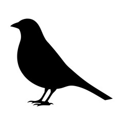 sparrow animal black silhouette icon - designs for jungle animals sparrow Safaris, wildlife, rainforest, vector on a white transparent.