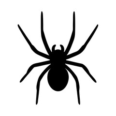 spider animal black silhouette icon - designs for jungle animals spider Safaris, wildlife, rainforest, vector on a white transparent.
