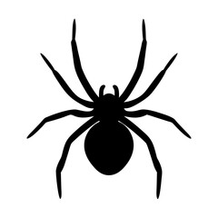 spider animal black silhouette icon - designs for jungle animals spider, Safaris, wildlife, rainforest, vector on a white transparent.