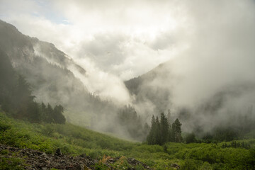 Thick Fog Hangs In The Valley Below Ipsut Pass