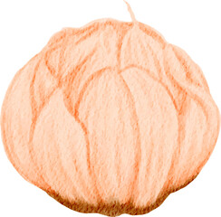 watercolor illustration of garlic