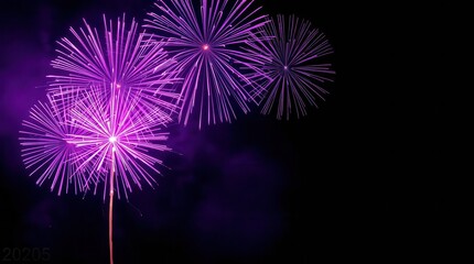 Vibrant purple fireworks light the night sky.