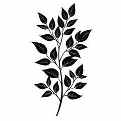 Black Silhouette Botanical Illustration. Stylized Nature & Foliage Design