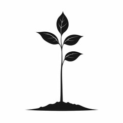Black Silhouette of Young Seedling. Eco-Friendly Growth in Nature's Pure Environment