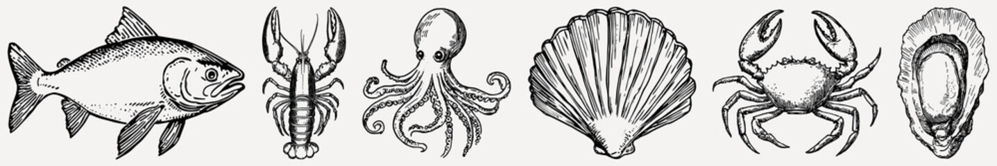 Vintage marine life illustrations collection, isolated vector set