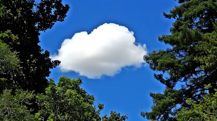 Obraz premium Framed by Nature: A Serene Cloudscape Through Verdant Foliage Canopy