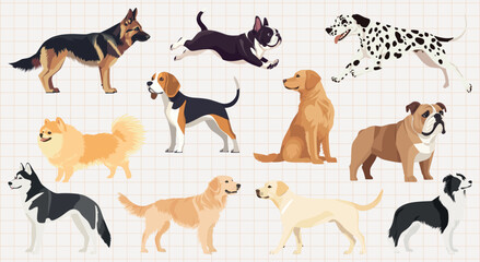 Fototapeta premium Colorful illustrated diverse dog breeds, element vector set