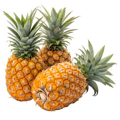 Obraz premium Fresh Ripe Pineapples with Green Leaves Isolated on White