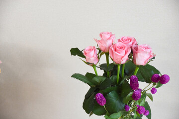 Fototapeta premium 薔薇と千日紅