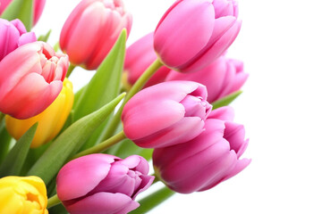 Obraz premium bouquet of pink and purple tulips on a white background