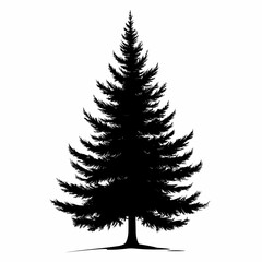 Obraz premium Transparent Evergreen Pine Tree Silhouette Vector Illustration: Seasonal Woodland Backdrop