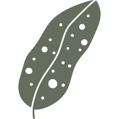 Cute Tropical leaf icon illustration