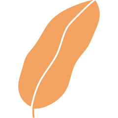 Cute Tropical leaf icon illustration