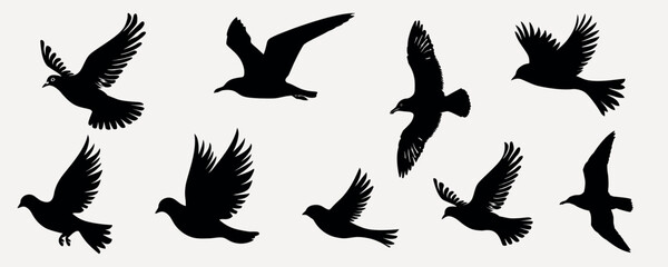 Obraz premium ar-vectorset-280105-bb-01-001