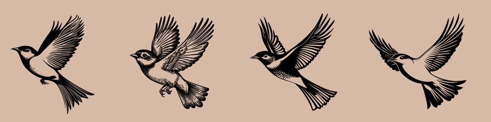 Obraz premium Vintage bird illustrations in flight, isolated element set vector