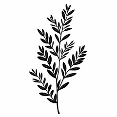 Fototapeta premium Black and White Botanical Leaf Illustration: Nature's Silhouette in Eco-Friendly Design