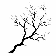Obraz premium Abstract Black and White Silhouette of Leafless Dead Tree - Fine Art Botanical Vector Illustration