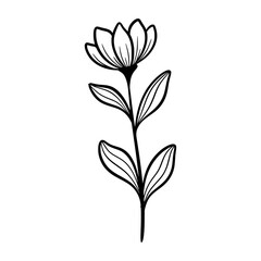 Cute line art leaf icon illustration