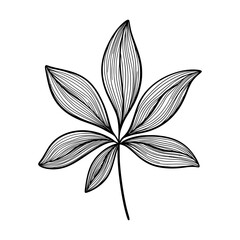 Cute line art leaf icon illustration