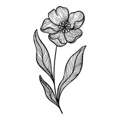 Cute line art leaf icon illustration