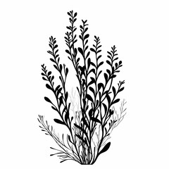 Fototapeta premium Black and White Botanical Illustration of Tropical Foliage: Eco-Friendly Nature-Inspired Silhouette Wall Art